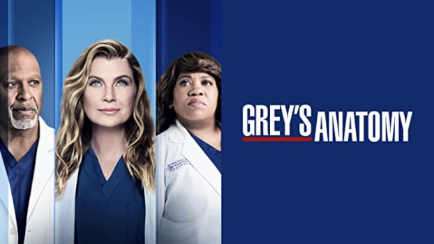 Grey's Anatomy Steaming ITA